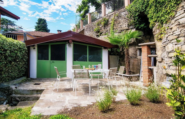 Lemon Tree - Photo 6