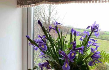 Secluded Escape near Salcombe - Newhouse Barn. - Foto 40