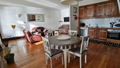 Appart Gîte Les Oiseaux- face Loire Quai du Châtelet - Foto 4, stove, pet friendly, toaster, minibar