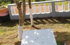 Chácara Sonia & Mineiro - Foto 38