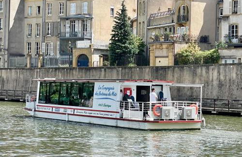 Les Gîtes de l'ile à Metz - Foto 38