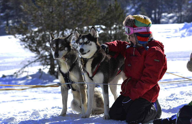 Giro in slitta trainata da cani a Grandvalira - Foto 1