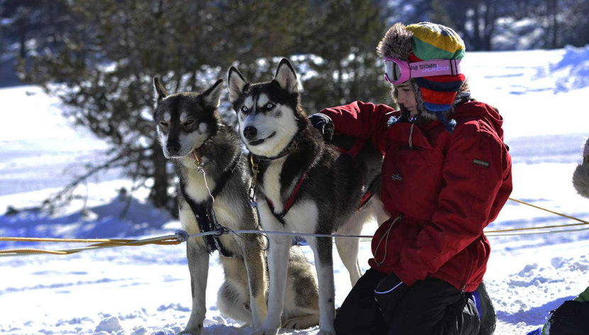 Grandvalira Dog Sled Ride - Foto 2