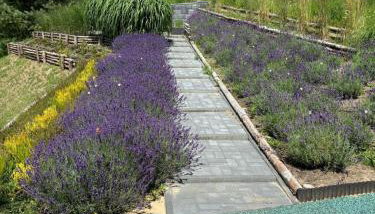 Familijny domek nad jeziorem - Foto 3, Garden