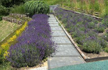 Familijny domek nad jeziorem - Foto 3