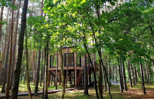 Tree Houses Olszanka - Photo 57