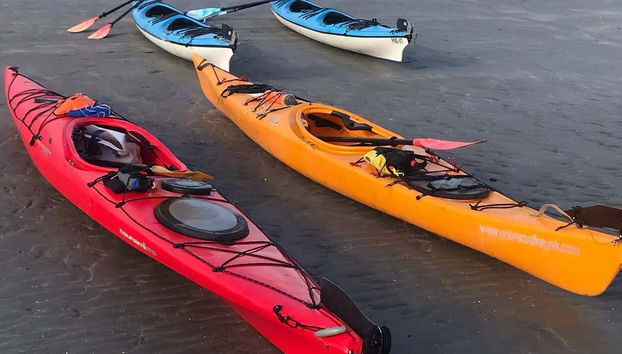 Kayak Tour and Sea Lion Sighting - Photo 2, Kayaks