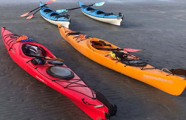 Kayak Tour and Sea Lion Sighting - Photo 2