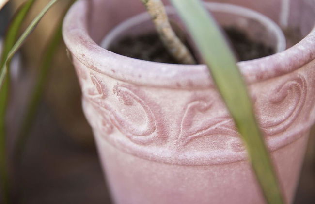 Ferienhaus Dornstetten - Foto 31