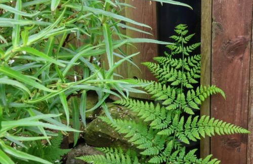 Dairy Cottage - Foto 28