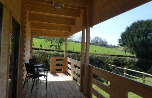 Pound Farm Holidays - Orchard Lodge - Photo 13
