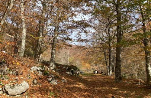 La casa nel bosco-Val Granara guesthouse - Foto 41