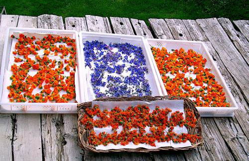 CleMaison Antica Dimora Apartments CIR VDA GIGNOD 0013 - Foto 80