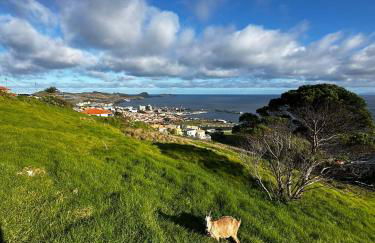 Sao Lourenco - Foto 27