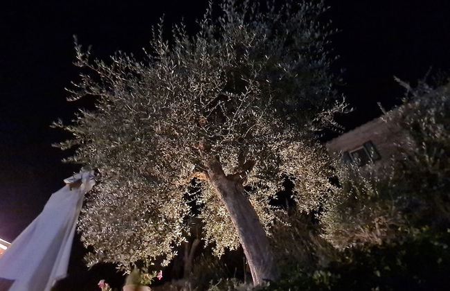 La Terrazza, Historic Tuscan Stone Residence With Garden and Terrace in Cetona - Photo 31