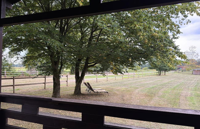 Ferienhaus in Eschede - Foto 34