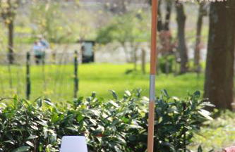 Weingut Schumacher - mit privatem Saunabereich - Foto 22