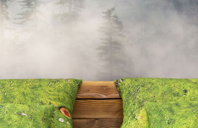 Green Deer Premium - Foto 57