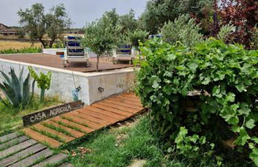 Monte das Aranhas - Foto 42