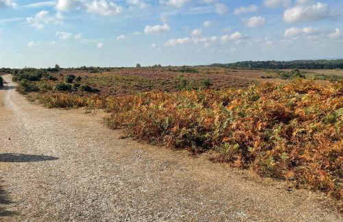 Alices Lodge - Foto 16