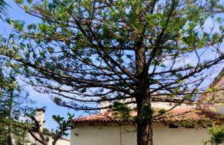 Chorio House Platanias - Foto 1