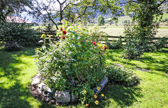 Haus Harlander - Foto 11