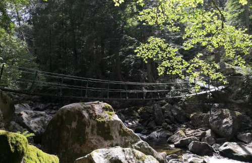 Fuchsenstein 44 - Foto 9