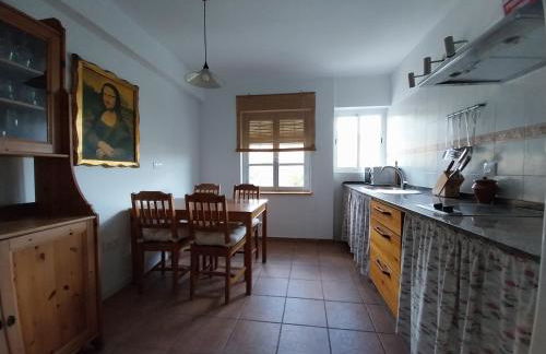 Ave Ibis eremita Vejer - Foto 27