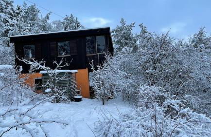 Holzhaus Devils Corner - Foto 9