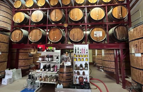 Sonne - Golf - 4Pers - Komfort - Apartments - Foto 65