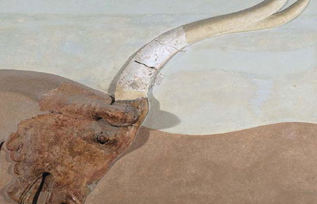 Museu Arqueológico de Heraclião - Bilhete - Foto 6