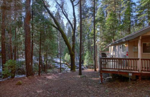 Hibernation Hideaway- Inside Yosemite- Dog Friendly - Foto 19