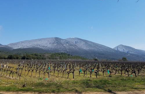 Luberon - Mas du Grand Saint Julien - Foto 21