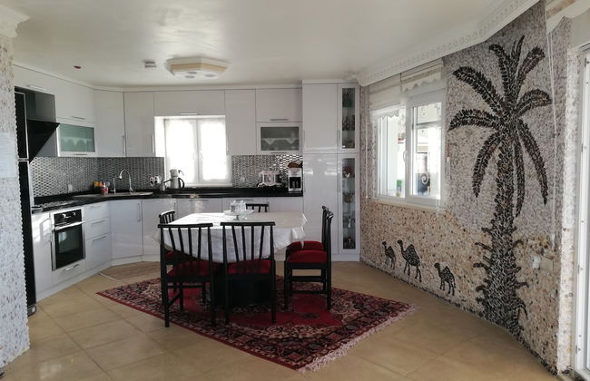 Perice Konak - Photo 47