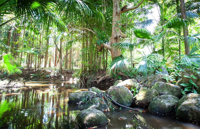 Sanctuary in The Pocket - Foto 59