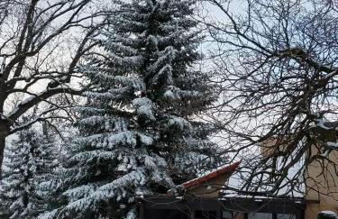 Beautiful Mountain Home - Photo 17