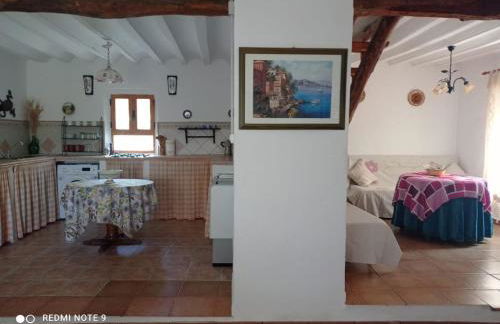 Finca Rústica La Pájara - Foto 38