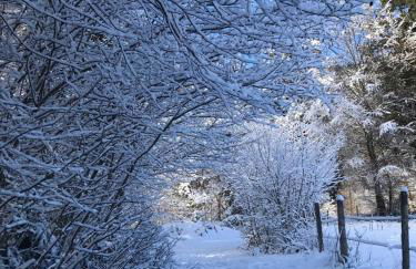 AlpenKastl - Photo 10