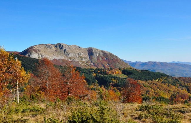 Castiglione di Garfagnana Haven - Foto 40