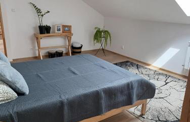 Po Prostu Las - Foto 6