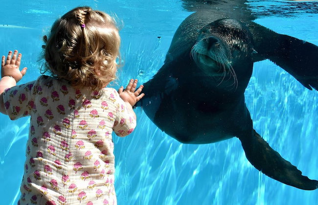 Cosy Bungalow Near the Beach - Photo 74