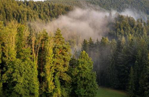 Cosy Holiday Home in Mahlberg in the Ortenau District in Baden-württemberg - Foto 98