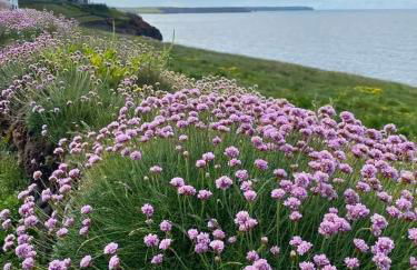 Farm accommodation - The Lizard Peninsula, Cornwall - Foto 35