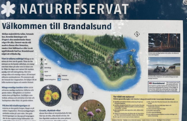 6 Person Holiday Home in Jarna-by Traum - Foto 13