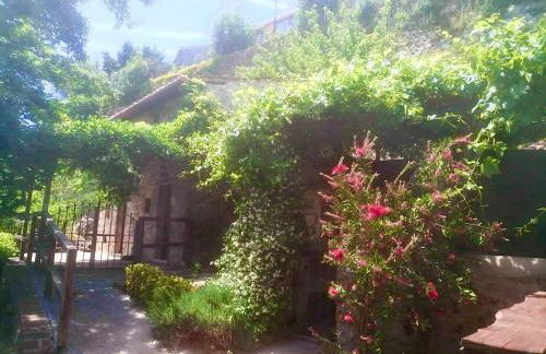 La luce dell'est - Photo 16