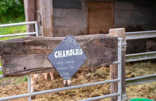 Ennerla Hof - Foto 24