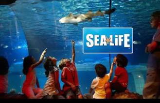 Paris Disney Sweet Retreat - Foto 36