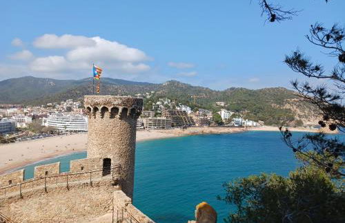 Apartamento Coral - Photo 29