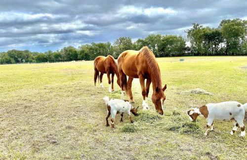 Couples Cottage - Serene Getaway - Foto 24