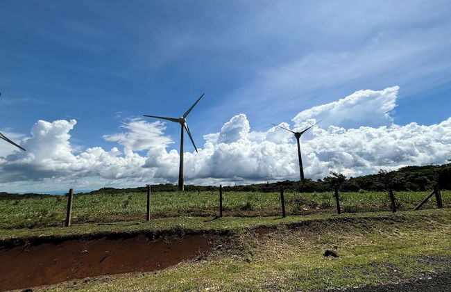 Rincón De Gaetano - Photo 43